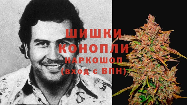 ALPHA PVP Верея