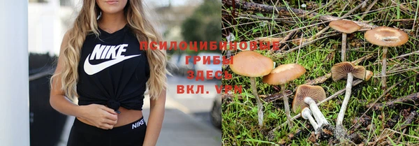 дмт Бронницы