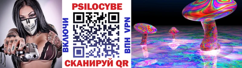 Псилоцибиновые грибы прущие грибы  Новороссийск 